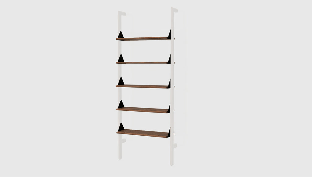 Paquet de 5 étagères pour branch